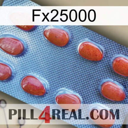 Fx25000 06